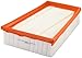 FRAM CA10346 Air Filter