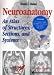 Books : Neuroanatomy: An Atlas of Structures, Sections, and Systems (Book with CD-ROM)