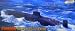 1/350 Soviet Typhoon Submarine DML1001