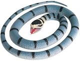 Large Yellow-Lipped Sea Snake