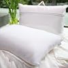 Luxury 100% Mulberry Silk Filled Pillow (50cm x 70cm)