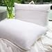 Luxury 100% Mulberry Silk Filled Pillow (50cm x 70cm)