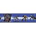 RoomMates RMK1090BCS Transformers Peel & Stick Border, 5-Yards