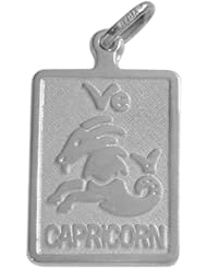 14 Karat White Gold Capricorn Zodiac Pendant with Chain