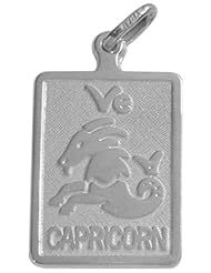 10 Karat White Gold Capricorn Zodiac Pendant with Chain
