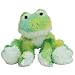 TY Beanie Babies Webley  - Frog