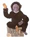 Plush Sitting Bonobo Monkey 10