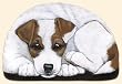 Fiddlers Elbow-JACK RUSSELL PUPPER WEIGHT