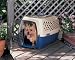 Petmate Kennel Cab Large (Navy/Taupe) (Navy/Taupe - Large - 26.15'' X 18.56'' X 16.5'')