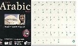 Learn Arabic Now 10.0 + Arabic Transparent Keyboard Stickers (Green for Light Colored Keyboards) Bundle