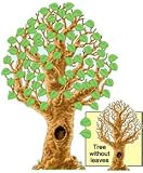 BIG REALISTIC TREE