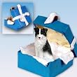 Border Collie Christmas Ornament Blue Box Keepsake