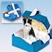 Border Collie Christmas Ornament Blue Box Keepsake