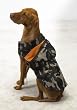 GREEN - LARGE - Camo Design All Weather Jackets