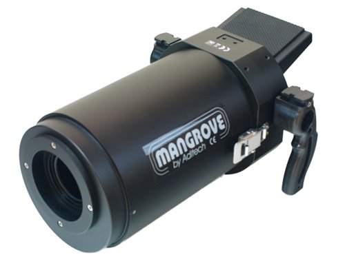 review Mangrove