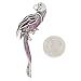 Purple Rhinestone Parrot Brooch Pin