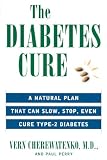 The Diabetes Cure: A Natural Plan That Can Slow, Stop, Even Cure Type 2 Diabetes