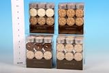 Temptations Scente Tea Light Candles 22/Pk