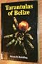 Tarantulas of Belize
