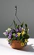 Dollhouse Miniature Artisan Hanging pot with Flowers