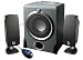 Acoustic Authority A-3640RB Black 2.1 110 Watt Pro Series Subwoofer Satellite System