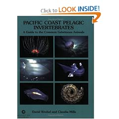 Pacific Coast Pelagic Invertebrates: A Guide to the Common Gelatinous Animals