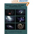 Pacific Coast Pelagic Invertebrates: A Guide to the Common Gelatinous Animals