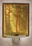 Woodland Sunbeams Color Lithophane Night Light