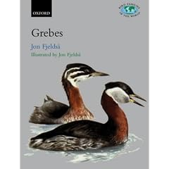 The Grebes: Podicipedidae (Bird Families of the World)