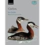 The Grebes: Podicipedidae (Bird Families of the World)
