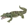 Crocodile