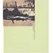 JOAN FONTCUBERTA, Collection 55