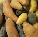 Melissa's Fingerling Potatoes, (3 lb)