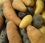 Melissa's Fingerling Potatoes, (3 lb)