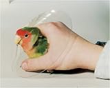 Bird Collars - 20 cm