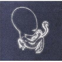 Agaetis Byrjun