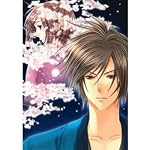 SHINSENGUMI ~幕末幻想恋愛奇譚~