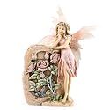 Garden Rose Fairy