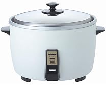 Panasonic SR-42HP Sale