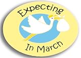 Stork Pin - Expecting In March