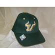 South Florida Bulls USF NCAA Youth 1-Fit Hat