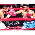 PERNELL WHITAKER AUTOGRAPHED BOXING AWESOME 16X20 VS FELIX TRINIDAD (BOXING)