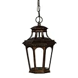 Acclaim Lighting 9516BC Newcastle 1 Light Outdoor Hanging Lantern by Commercial Lighting [並行輸入品]