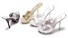 503 Munich, 5 Inch Mule, by Ellie Shoes