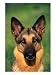 German Shepherd, Photographic Print by Francie Manning, 18x24