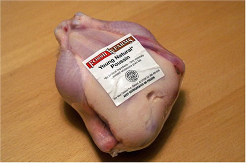 Poussin (French All Natural, Young Chicken) by Fossil Farms