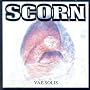 Vae Solis