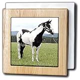 Paint Horse - 6 Inch Tile Napkin Holder