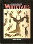 Amazing Whitetails