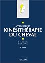 Approche de la kinésithérapie du cheval